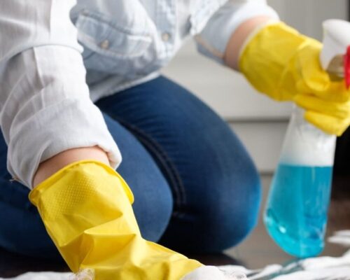 Hijyenik Bir Ev İçin Altın Temizlik Kuralları